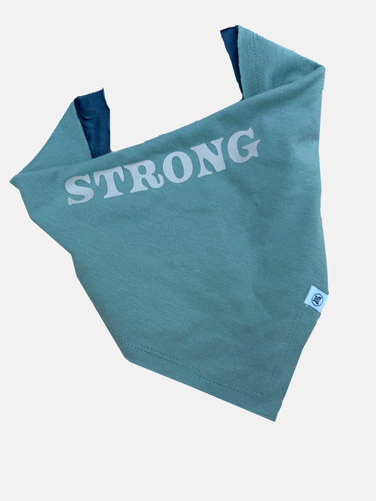 Organic Cotton Reversible Bibs