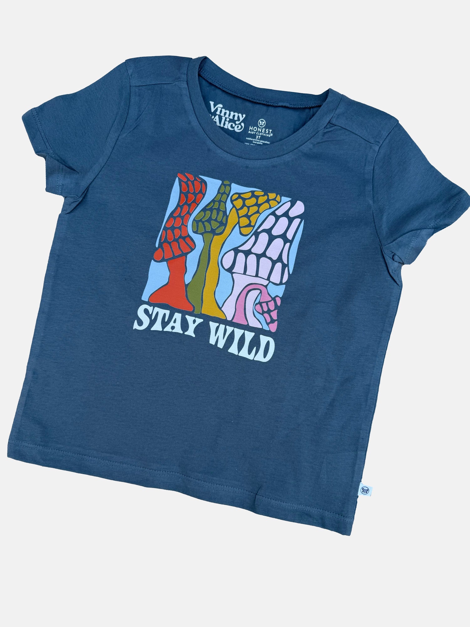 Toddler (2T - 5T)